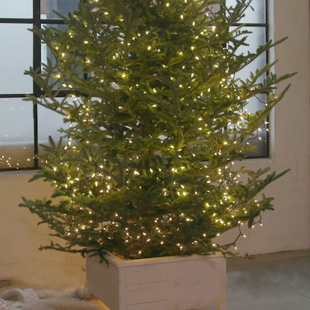 Caja de madera para el árbol de Navidad